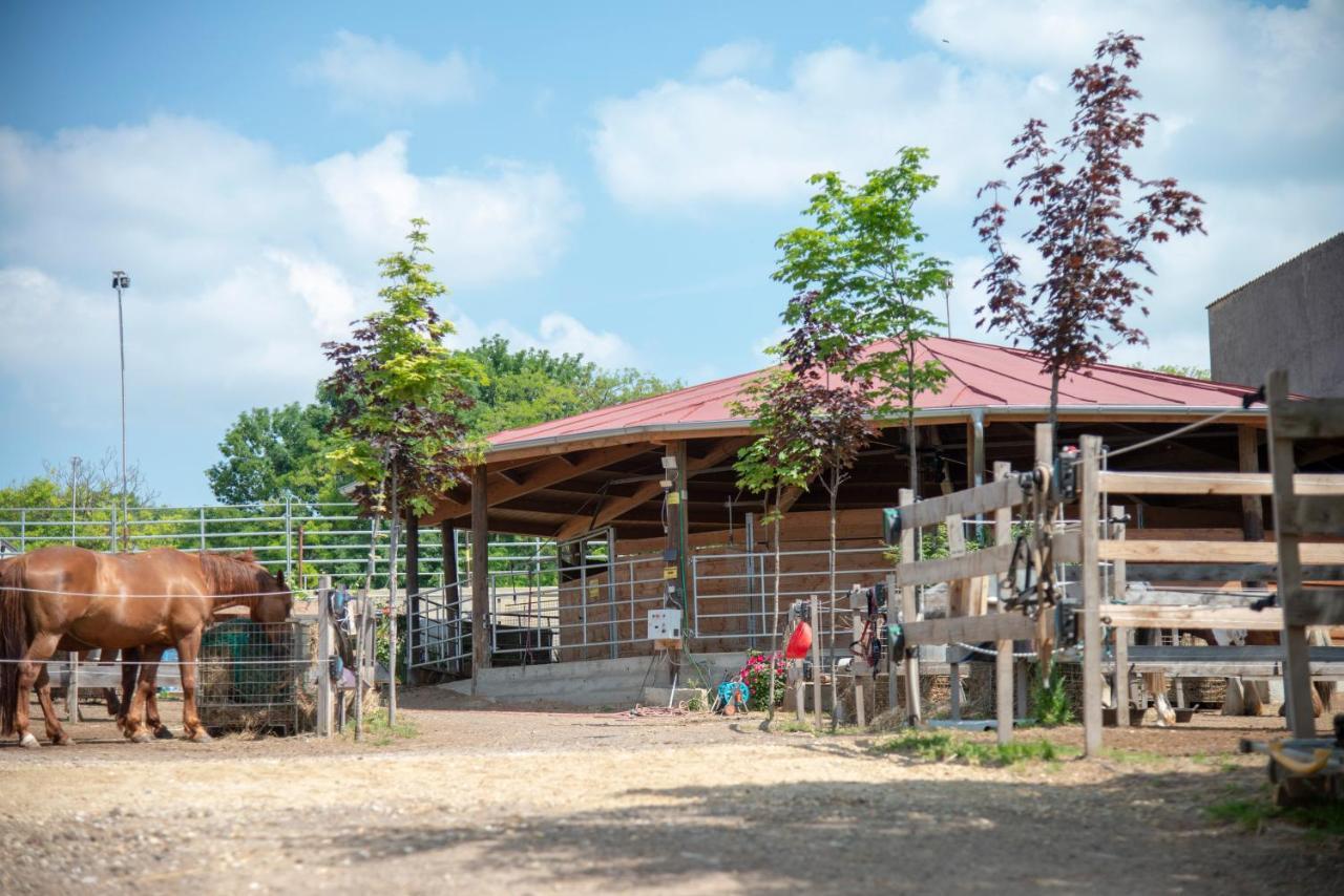 Ranchzimmer Am Hippo-Campus Reit- Und Therapiezentrum Deutsch Haslau Exterior photo